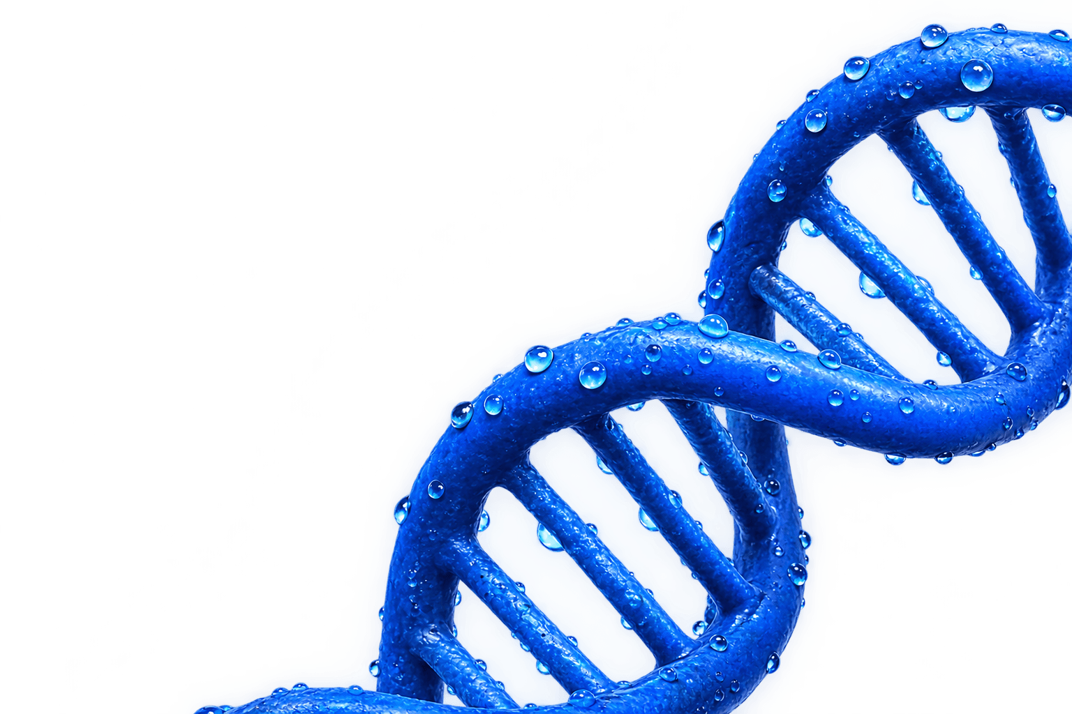 DNA Double Helix